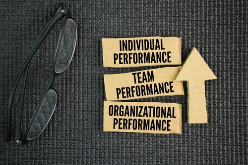 performance standards